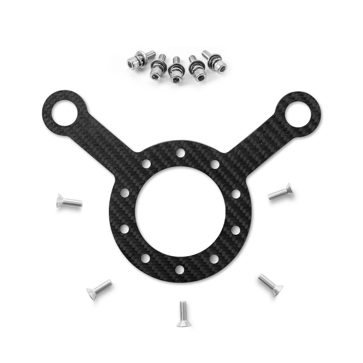 Carbon Fiber Plate w/2 Hole Switch - 262