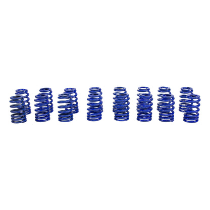 Beehive Hustler Springs For GM 604/CT525 LS Crate Engine