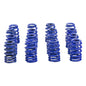 Beehive Hustler Springs For GM 604/CT525 LS Crate Engine