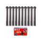 Head Bolt Kit
