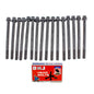 Head Bolt Kit