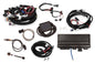 Engine Management System - 550916