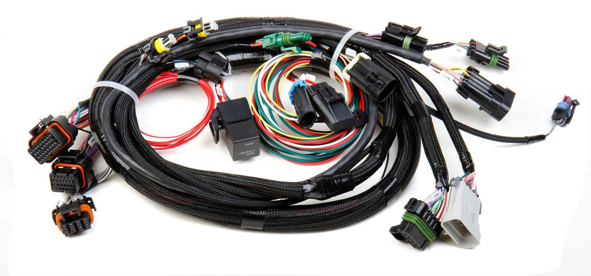 Fuel Injection Wire Harness - 558101