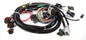 Fuel Injection Wire Harness - 558101