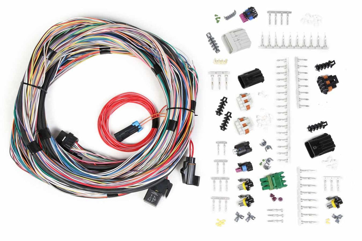 Fuel Injection Wire Harness - 558105
