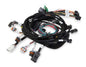Main Harness - 558108