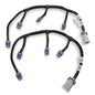 Coil Harness - 558321