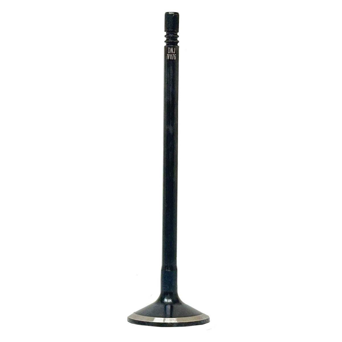 Intake Valve 2014-2018 Ram 3.0L