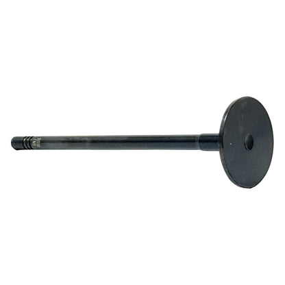 Intake Valve 2014-2018 Ram 3.0L
