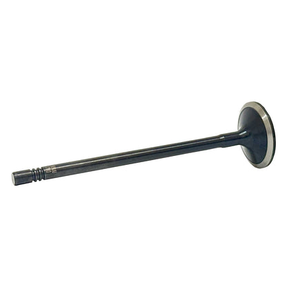 Intake Valve 2014-2018 Ram 3.0L