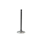 Intake Valve