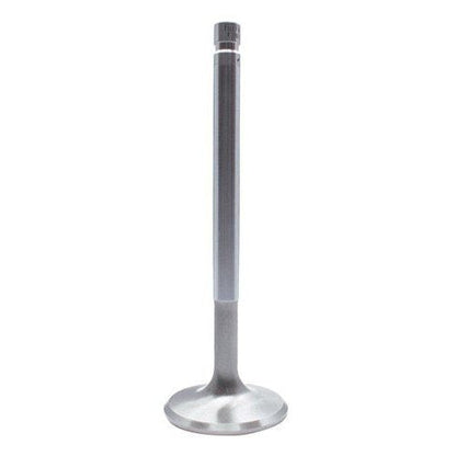 Intake Valve