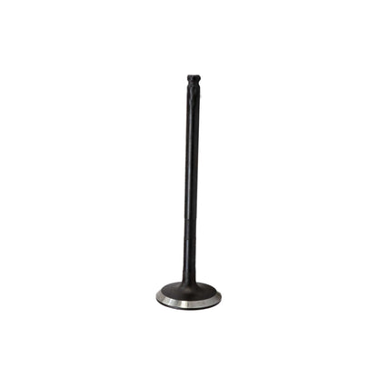 Intake Valve 2013-2015 Chevrolet 1.2L