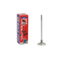 Intake Valve 1992-1995 Isuzu 3.2L