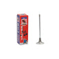 Intake Valve