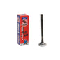 Intake Valve