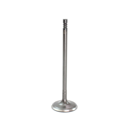 Intake Valve