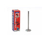 Intake Valve
