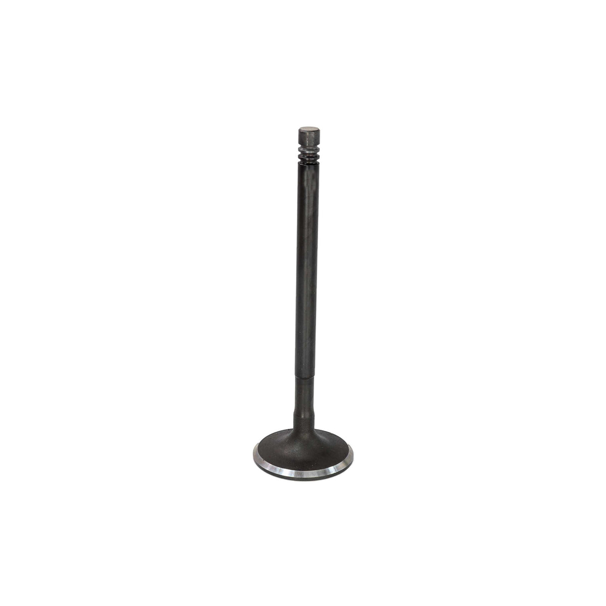 Intake Valve
