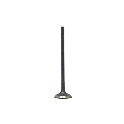 Intake Valve 2014-2019 Mazda 2.5L
