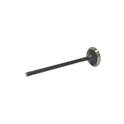 Intake Valve 2014-2019 Mazda 2.5L