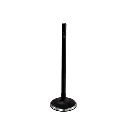 Intake Valve 2014-2016 Scion,Subaru 2.0L