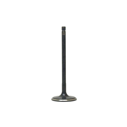 Intake Valve 2009-2017 Hyundai,Kia 4.6L-5.0L