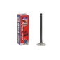 Intake Valve