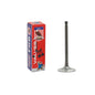 Intake Valve