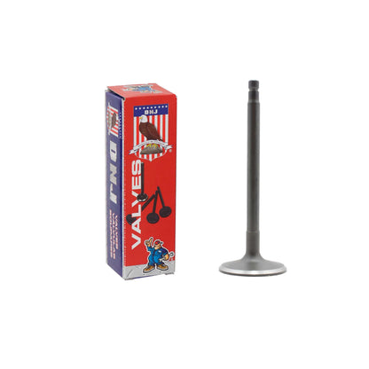 Intake Valve 1998-2004 Nissan 2.4L