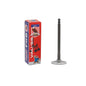 Intake Valve