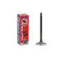 Intake Valve 2000-2001 Nissan 2.4L