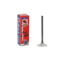 Intake Valve 1987 Nissan 1.6L
