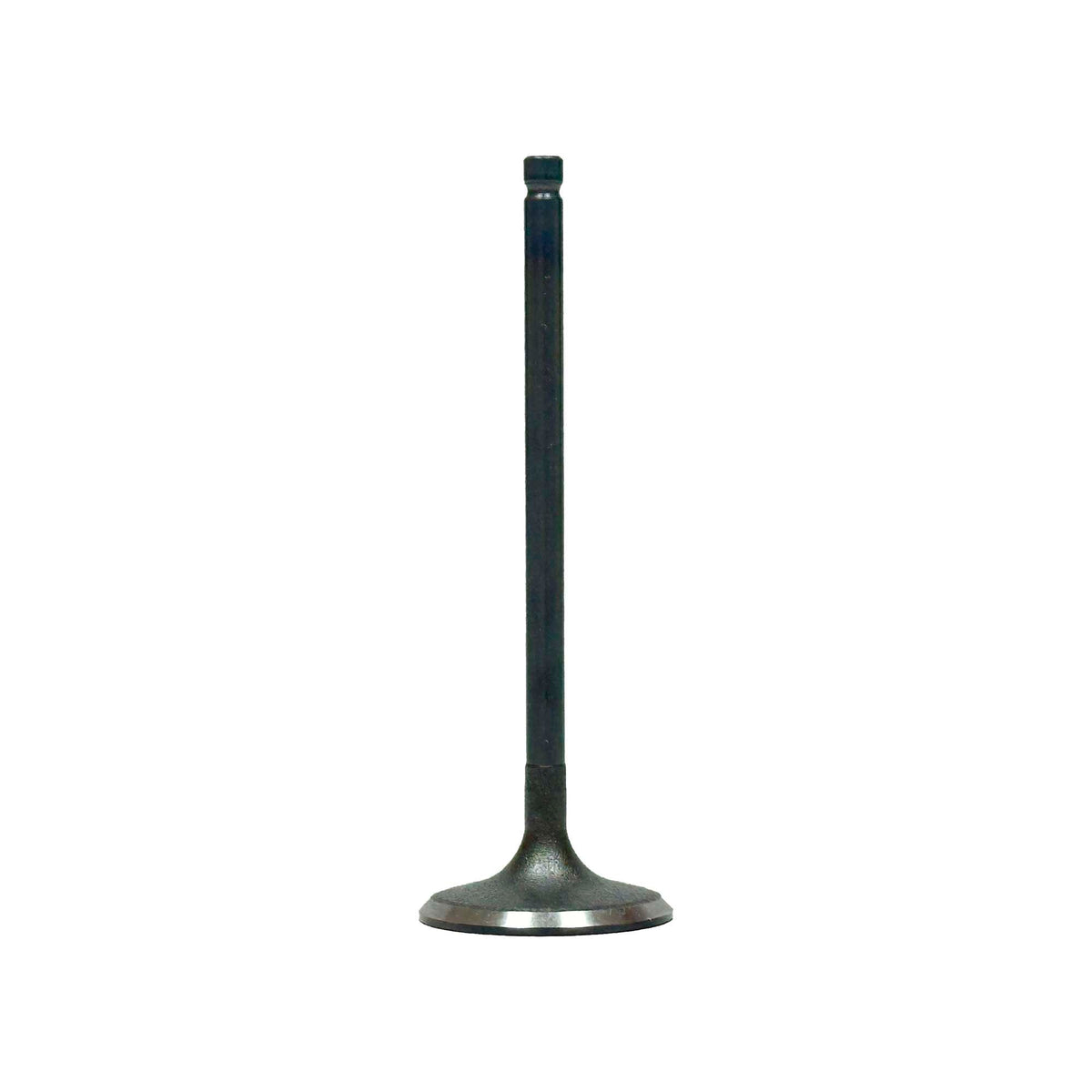 Intake Valve 2001-2004 Subaru 3.0L