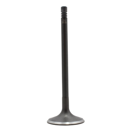 Intake Valve 2015-2018 Audi 2.0L