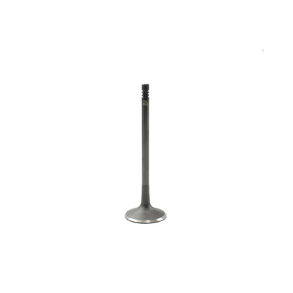 Intake Valve 2007-2010 Audi 4.2L-5.2L