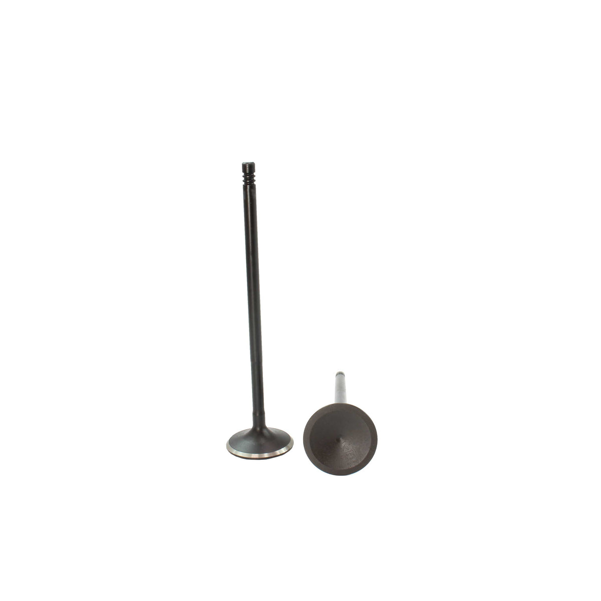 Intake Valve 2004-2015 Audi,Volkswagen 3.2L-3.6L