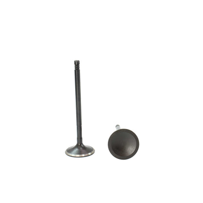 Intake Valve 2004-2016 Audi,Volkswagen 3.2L-6.3L