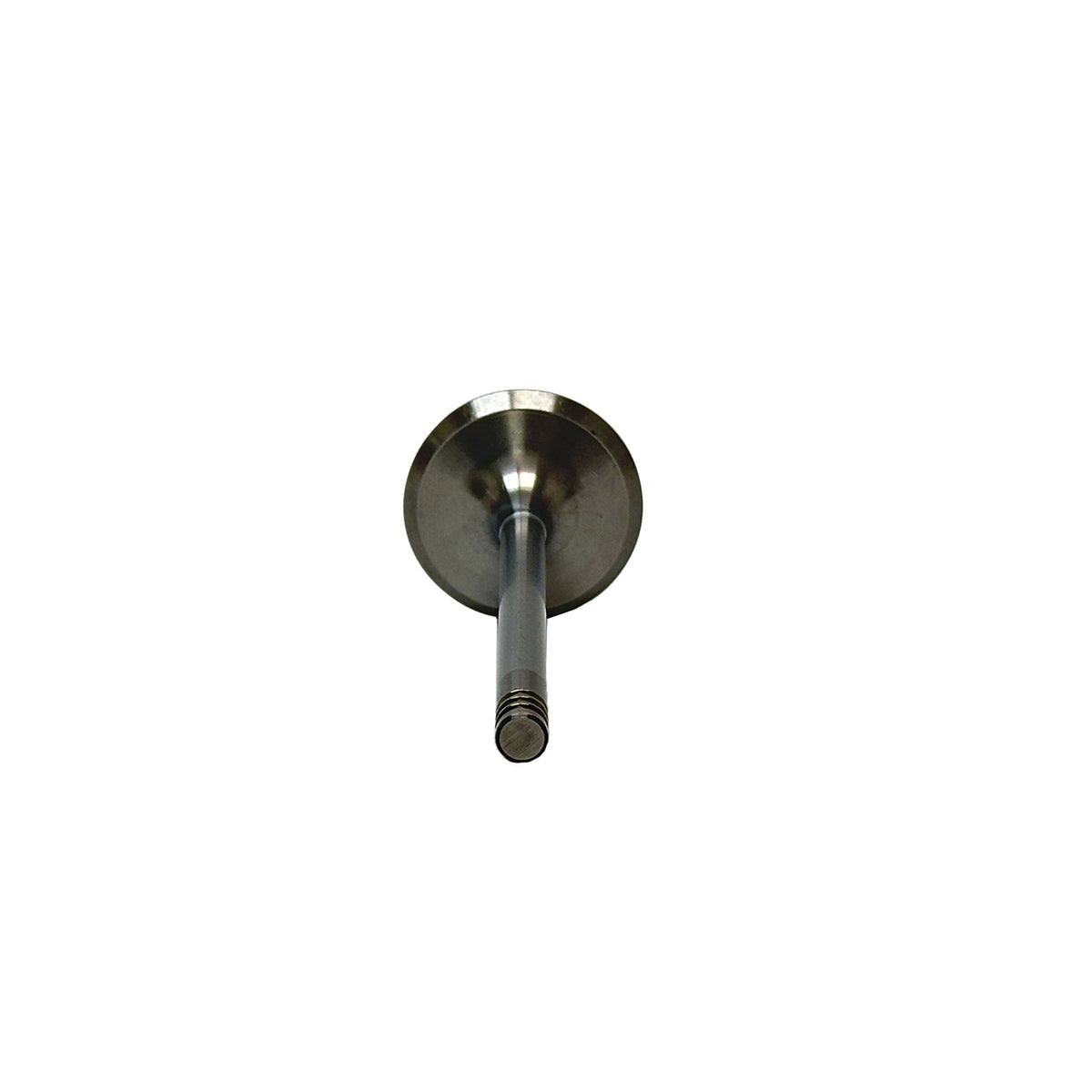 Intake Valve 2001-2009 Audi,Volkswagen 2.8L-6.0L