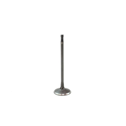Intake Valve 2012-2016 BMW 2.0L-3.0L