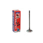 Intake Valve 2012-2016 BMW 2.0L-3.0L