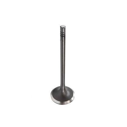 Intake Valve 2014-2015 BMW 2.0L-3.0L