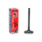 Intake Valve