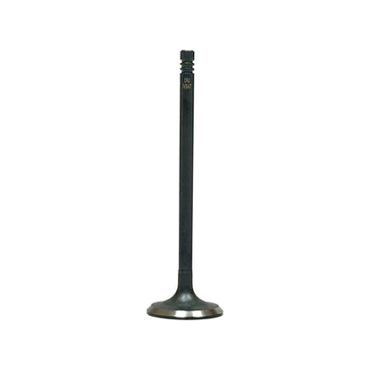 Intake Valve 2001-2006 BMW 2.5L-3.0L