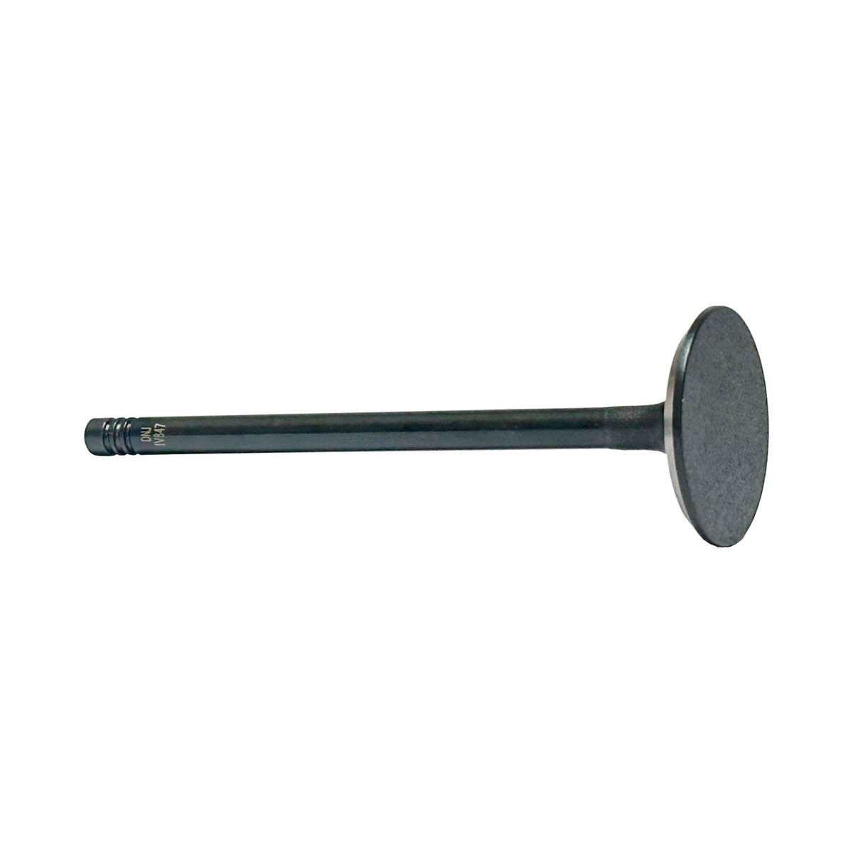 Intake Valve 2001-2006 BMW 2.5L-3.0L