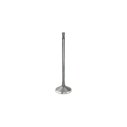 Intake Valve 2007-2015 BMW 3.0L