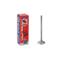 Intake Valve 2007-2015 BMW 3.0L