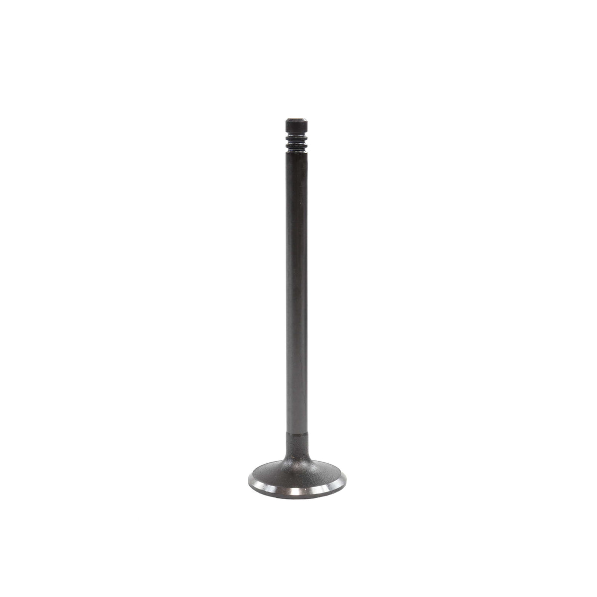 Intake Valve 2009-2013 BMW 3.0L