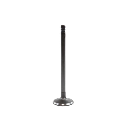 Intake Valve 2009-2013 BMW 3.0L
