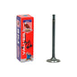 Intake Valve 1994-1995 BMW 3.0L